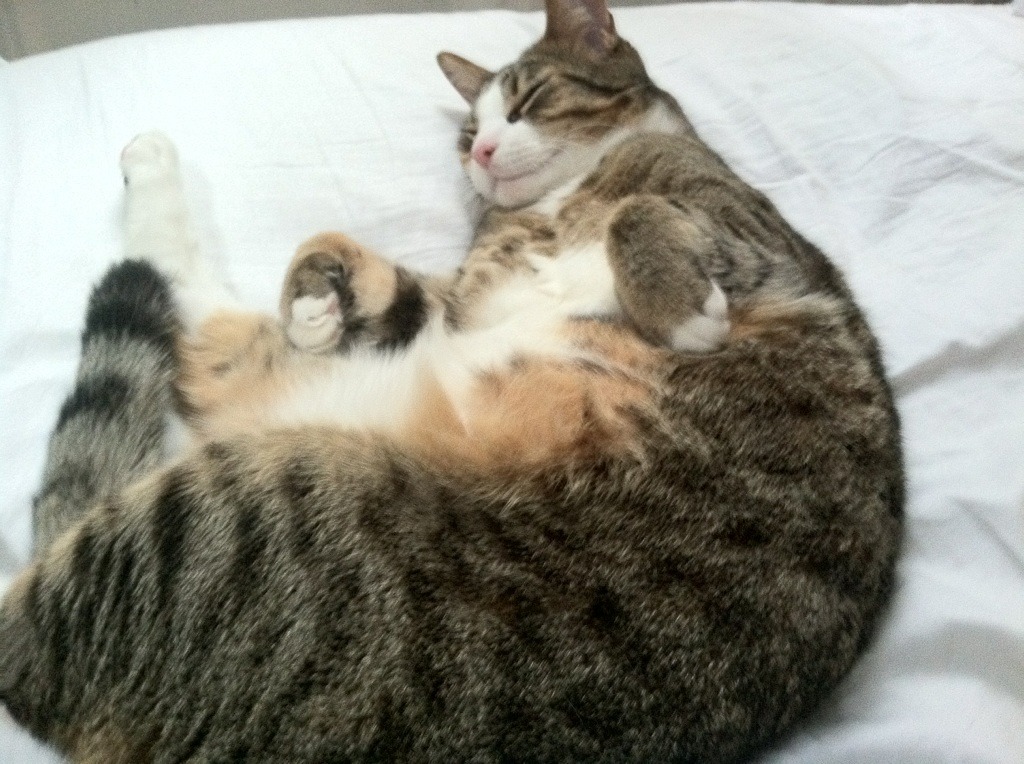 开云中国-“英超迎来收官大戏，争冠局势备受关注”，英超总结